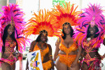 Atlanta Caribbean Carnival 2014