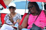 Atlanta Caribbean Carnival 2014