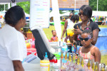 Atlanta Caribbean Carnival 2014