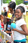 Atlanta Caribbean Carnival 2014