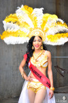 Atlanta Caribbean Carnival 2014