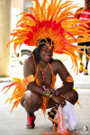 Atlanta Caribbean Carnival 2014
