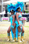 Atlanta Caribbean Carnival 2014